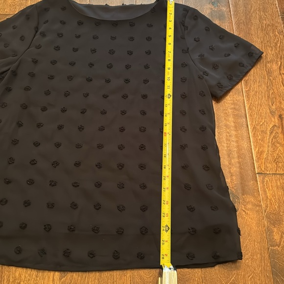 NWOT Summer Short Sleeve Round Neck Swiss Dot Shirt Pom Pom Chiffon Blouse - L - Picture 3 of 6